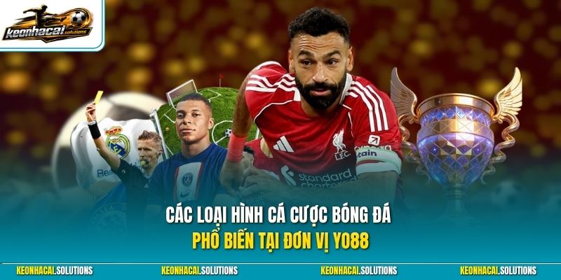 Các loại hình cá cược bóng đá phổ biến tại đơn vị Yo88