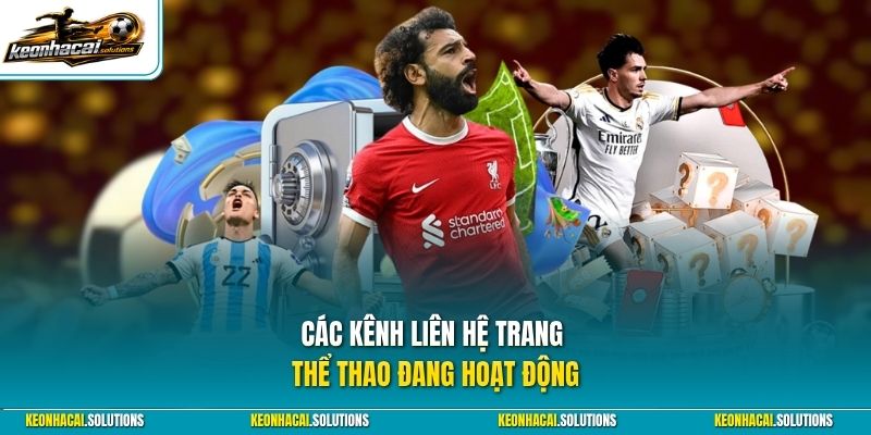 Các kênh liên hệ trang thể thao đang hoạt động