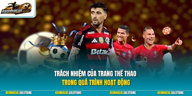 Trách nhiệm của trang thể thao trong quá trình hoạt động